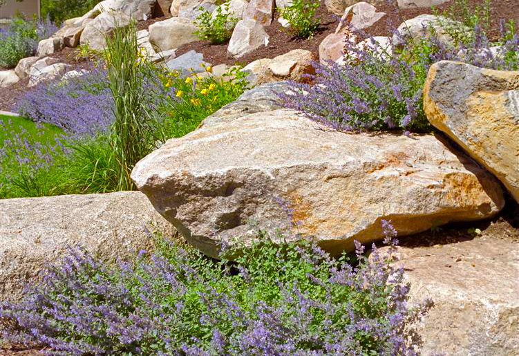 5 Tips for Choosing the Right Landscape Contractor