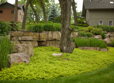 landscape design with Boulders and trees