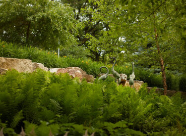 Decorative boulders in landscaping